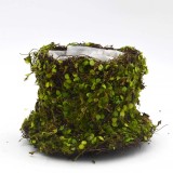 Green Moss Teacup Flower Basket Wedding Decor
