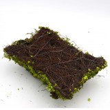 Crafting Moss Pot, Fake Moss Planter in Rectangle Shape for Wedding Decor
