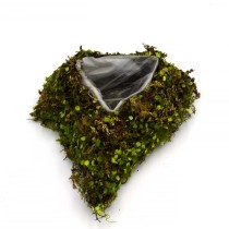 Woodland Natural Twig Green Heart Fake Moss Planter Box