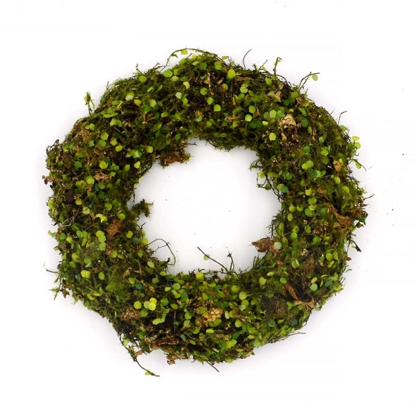 Spring Wreath for Front Door Decorations, Artificial Green Wreath for Summer Decor