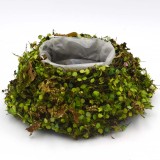 Rustic Twig Green Moss Planter Box, Round Shape for Farmhouse Decor