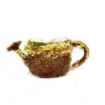 Preserved Moss & Twig Watering Can Planter Box with Natural Flower
