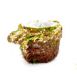 Preserved Moss & Twig Watering Can Planter Box with Natural Flower