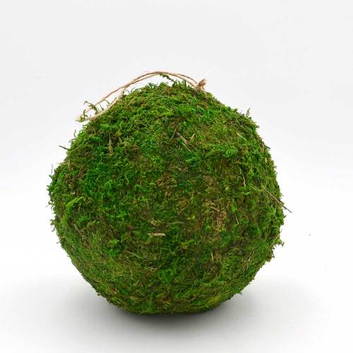 Decorative Moss Ball, Preserved Moss Hanging Ornaments Home Decorative Accessories