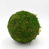 Decorative Moss Ball, Preserved Moss Hanging Ornaments Home Decorative Accessories