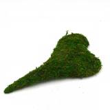 Preserved Heart Moss Arts and Crafts, Dried Forest Moss Decoration