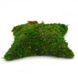 Decorative Pillow Shaped Green Moss for Garden Crafts