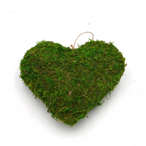 Preserved Moss Hanging Heart for Wedding Decorations