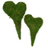 Preserved Heart Moss Arts and Crafts, Dried Forest Moss Decoration