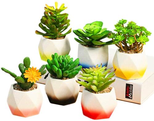 3 Inch Succulent Pots, Ceramic Flower Planter Pot with A Hole for Home Decorations (Pack of 6) 