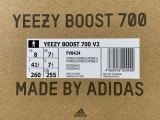 Adidas Yeezy 700 V2 HOSBLU FV8424