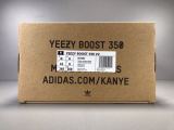 Adidas Yeezy Boost 350 V2 True Form  Antlia  European limited