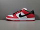 NK SB Dunk Chicago BQ6817-600