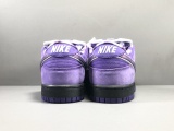 Nike DUNK SB Concepts x NK SB Dunk Low  Purple BV1013-555