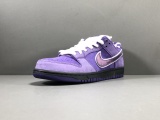 Nike DUNK SB Concepts x NK SB Dunk Low  Purple BV1013-555