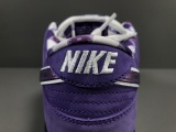 Nike DUNK SB Concepts x NK SB Dunk Low  Purple BV1013-555