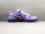 Nike DUNK SB Concepts x NK SB Dunk Low  Purple BV1013-555