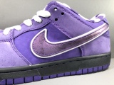 Nike DUNK SB Concepts x NK SB Dunk Low  Purple BV1013-555