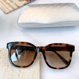 Balenciaga Generous Sunglasses Size：52-21-140