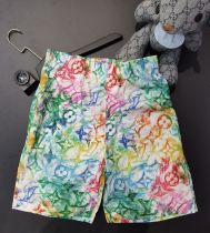 New Louis Vuitton Fashion Colorful Rendering Shorts