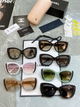 Chanel CH9096 Fashion Square Frame Sunglasses Size:56口17-145