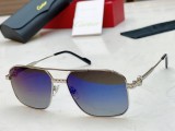 Cartier CT0615S Large Sunglasses Size:60口18-145