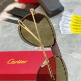 Cartier CT0242S Flying Toad Frame Sunglasses Size: 60口14-140