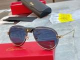 Cartier CT0242S Flying Toad Frame Sunglasses Size: 60口14-140