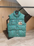 THE NORTH FACE & GUCCI Stand Collar Down Vest Green