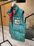 THE NORTH FACE & GUCCI Stand Collar Down Vest Green