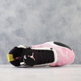 Nike x Air Jordan Air Jordan XXXIV PF “Paris” LOW AJ34
