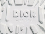 Dior Men Low Cut White Sneakers 3SN277ZJW H060