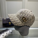Dior New Full Printed Logo Baseball Cap Hat