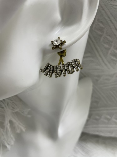 Dior Fashion Classic Retro Letter Earrings