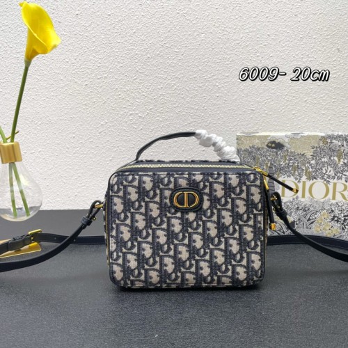 Dior Classical New Women 6009 Leahter Gray Sizes:20×15×6cm