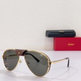 Cartier Unisex Fashion CT0296S Simple Atmosphere Glasses Size: 61口17-135