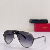 Cartier Unisex Fashion CT0296S Simple Atmosphere Glasses Size: 61口17-135