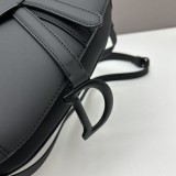 Dior Classic Fashion Saddle Bag Gallliano Package