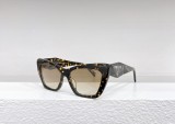 Prada Fashion Classic Glasses SPR35 Size：55-16-145