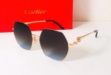 Cartier New CT0267S Fashion Sunglasses Size 58-21-145