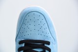 Nike Dunk SB Low Pro Blue Chill Unisex Sneakers Casual Board Shoes