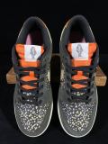 Nike Dunk Low Retro Rainbow Trout Unisex Classic Casual Board Shoes Sneakers