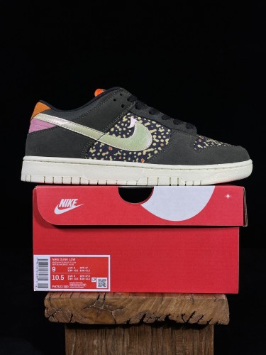 Nike Dunk Low Retro Rainbow Trout Unisex Classic Casual Board Shoes Sneakers