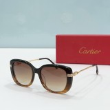 Cartier New CT0377 Fashion Sunglasses Size 53-19-145
