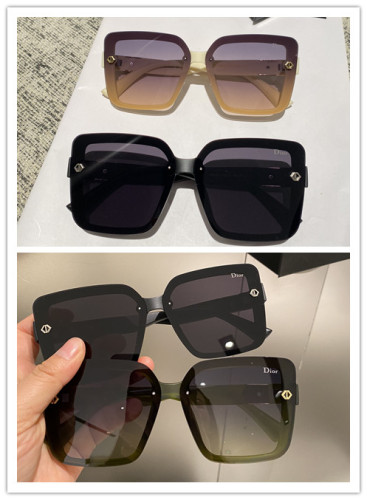 Dior New Polarized Metal Sunglasses