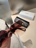 Dior Classic Box Polarized Sunglasses