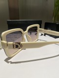 Dior New Polarized Metal Sunglasses