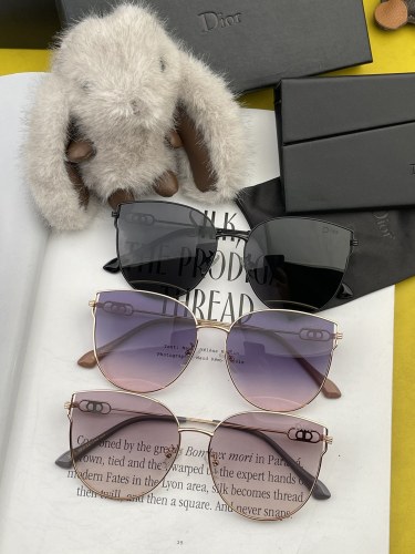 Dior Fashion Women's Round Frame Sunglasses