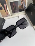 Dior Classic Women's Box Polarized Sunglasses