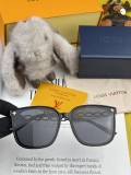 Louis Vuitton Fashion Large Frame Sunglasses